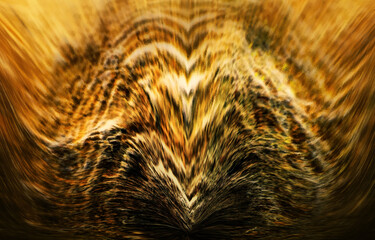 黄金の猛禽類や獣が迫ってくるようなインパクトの強い毛むくじゃらなアニマルアートテクスチャー