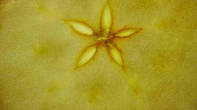 Macro shot of fresh juicy green apple slice moving against skylight, showing flesh and seeds with texture, structure of fruit visible under light.
