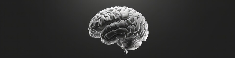 Obraz premium A stylized human brain centered on the right two-thirds of a black background, Banner