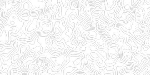Abstract pattern with lines seamless topography map and counter map. geometric grid outline sea map area space geometric line technology topo landscape grid map texture.