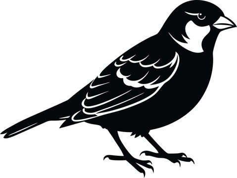 recommend clip art: Black and white silhouette of a sparrow