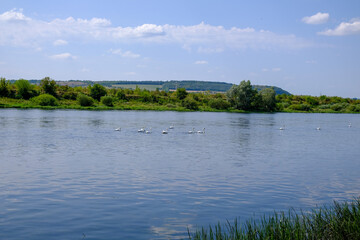 Enjoy a picturesque riverside landscape with lush greenery under a clear blue sky