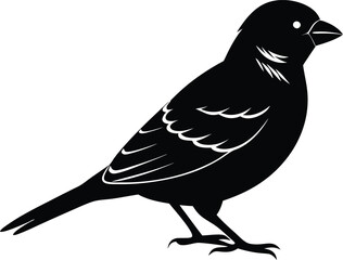 Fototapeta premium Black and white silhouette of a sparrow