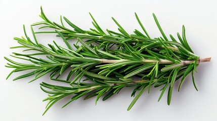 Fototapeta premium Aromatic Fresh Rosemary Sprigs on White Background for Culinary Concepts