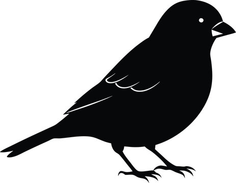 recommend clip art: Black and white silhouette of a sparrow
