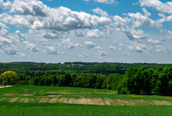 landscape with sky