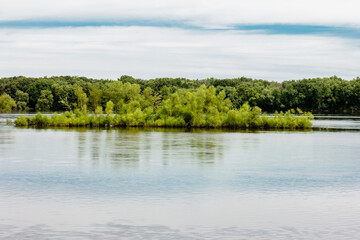 A small flooded island in the middle of the Wisconsin River just south of Portage, Wisconsin in mid-July
