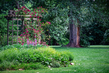 garden in spring