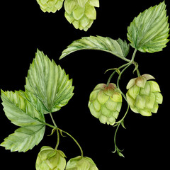 Watercolor hand drawn pattern with green branches of hops on black background