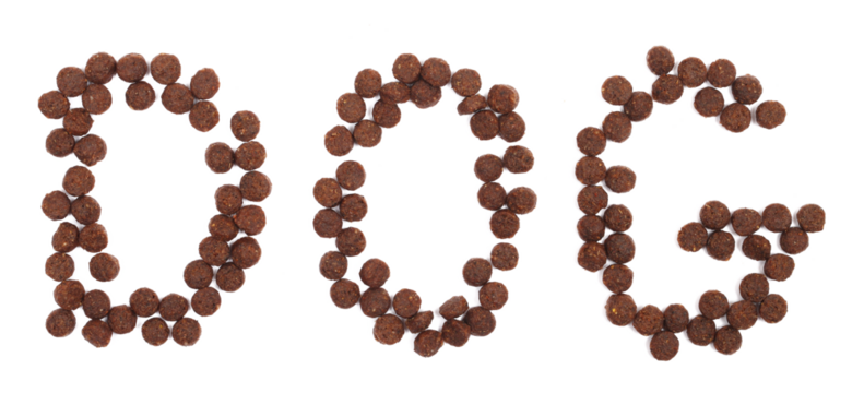 Dry food in shape word dog isolated on white background, top view