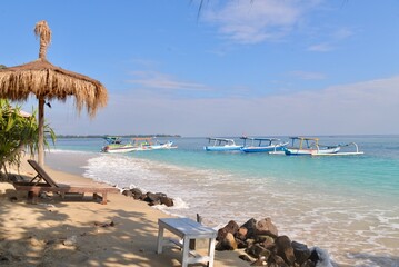 beach with palm trees