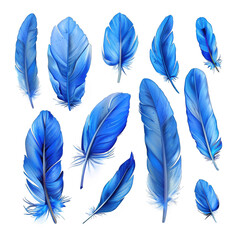 Blue feathers birds wings collection isolated on transparent background cutout PNG