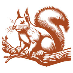 Squirrel vector, squirrel logo
