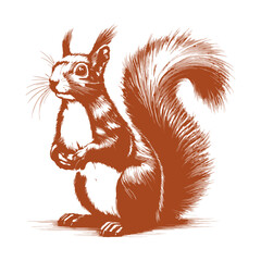 Squirrel vector, squirrel logo