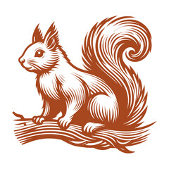 Squirrel vector, squirrel logo