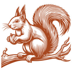 Squirrel vector, squirrel logo