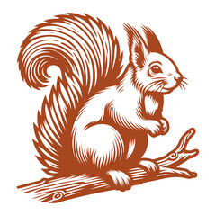 Squirrel vector, squirrel logo