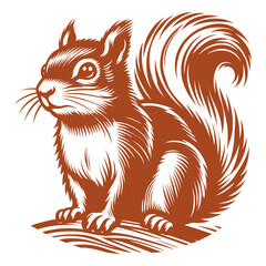 Squirrel vector, squirrel logo