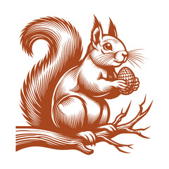 Squirrel vector, squirrel logo