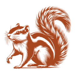 Squirrel vector, squirrel logo