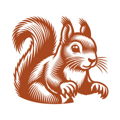 Squirrel vector, squirrel logo