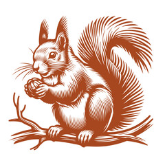 Squirrel vector, squirrel logo