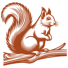 Squirrel vector, squirrel logo