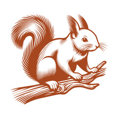Squirrel vector, squirrel logo