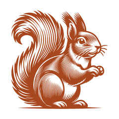 Squirrel vector, squirrel logo