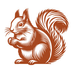 Squirrel vector, squirrel logo