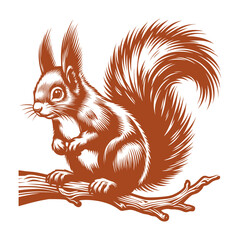 Squirrel vector, squirrel logo