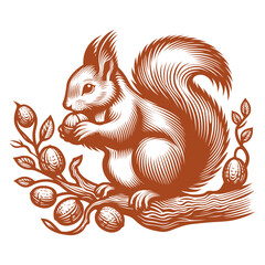 Squirrel vector, squirrel logo