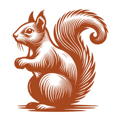 Squirrel vector, squirrel logo