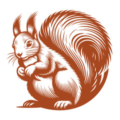 Squirrel vector, squirrel logo