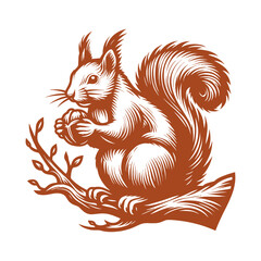 Squirrel vector, squirrel logo