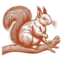 Squirrel vector, squirrel logo