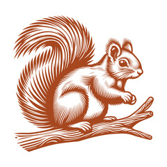Squirrel vector, squirrel logo