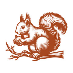 Squirrel vector, squirrel logo