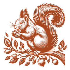 Squirrel vector, squirrel logo