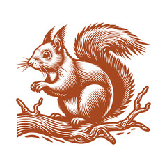 Squirrel vector, squirrel logo