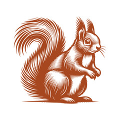 Squirrel vector, squirrel logo