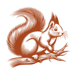 Squirrel vector, squirrel logo