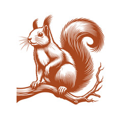Squirrel vector, squirrel logo