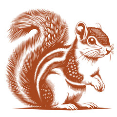 Squirrel vector, squirrel logo