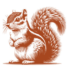 Squirrel vector, squirrel logo