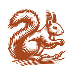 Squirrel vector, squirrel logo