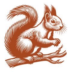 Squirrel vector, squirrel logo