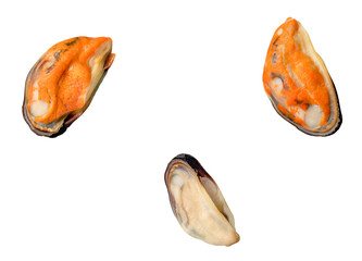 Top view set of green mussel meat isolated with clipping path in png file format