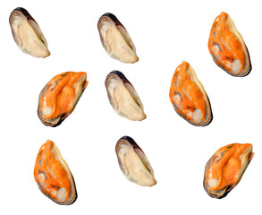 Top view set of green mussel meat scattering isolated with clipping path in png file format