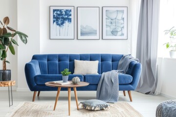 Modern Living Room With Blue Sofa and Curtains